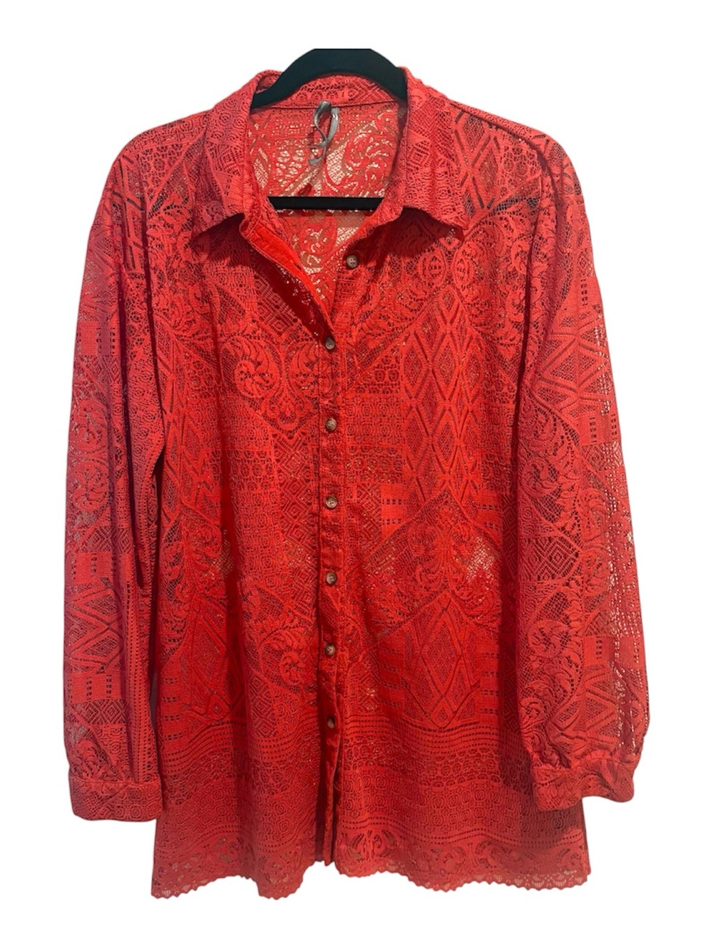 Anthropologie Lace Sheer Shirt Button Down Blouse Burnt Orange M Boho Romantic